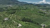 Colline di Trevignano patrimonio Unesco