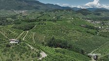 Colline di Trevignano patrimonio Unesco