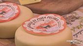 Formaggi di pecora di alta qualità