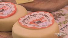 Formaggi di pecora di alta qualità