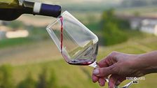 Passione Barbera