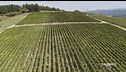 "In Collina - Il Turismo del Vino tra Identità e Sviluppo Territoriale"