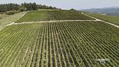 "In Collina - Il Turismo del Vino tra Identità e Sviluppo Territoriale"