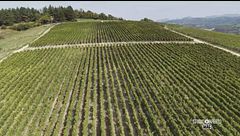 "In Collina - Il Turismo del Vino tra Identità e Sviluppo Territoriale"