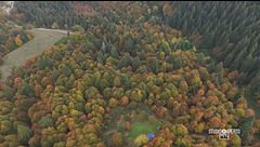 È tempo di foliage
