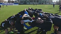 Le zebre nel sociale