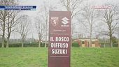 Il "Bosco Diffuso" di Suzuki