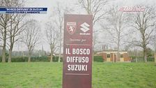 Il "Bosco Diffuso" di Suzuki