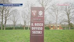 Il "Bosco Diffuso" di Suzuki