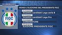 Figc, l'ora della verità