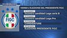 Figc, l'ora della verità