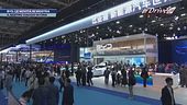 BYD apre le porte del suo mondo