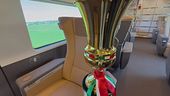 In treno con la Coppa