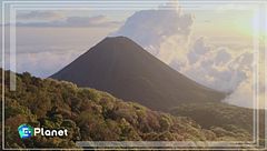 Puntata dell'11 gennaio