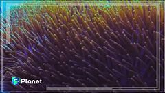 Puntata del 19 aprile