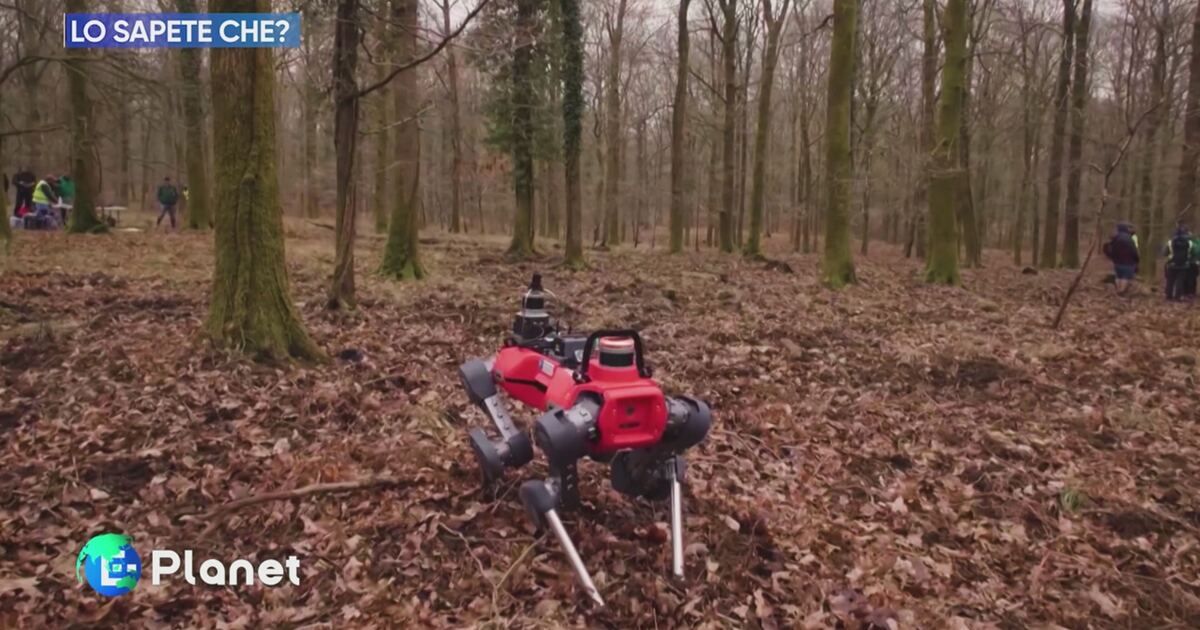 E-Planet: Lo sapete che? Video | Mediaset Infinity