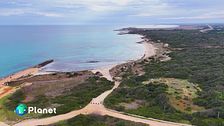 La riserva di Torre Guaceto