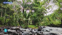 Le storie di: scoperte nuove specie