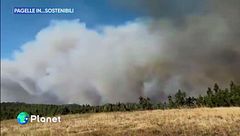 Pagelle in...sostenibili