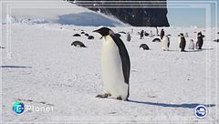 Quarant'anni di Antartide