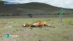 Lo sapete che: siccità in Sudafrica