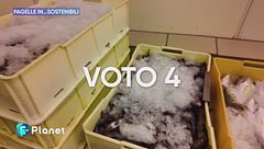 Le pagelle in...sostenibili del 1 marzo