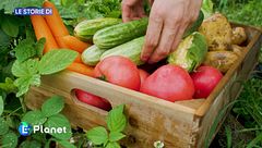 Le Storie di: boom del biologico