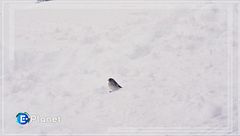 Monitorare la natura