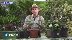 E-Garden: i vasi per le vostre piante