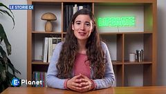 Le Storie di: piccoli migratori