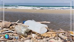 L'archeologo della plastica