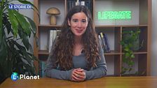 Le Storie di: il programma DiscoverEU