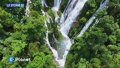 Le Storie di: la giornata della Terra