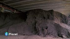 Compost, da scarto a risorsa