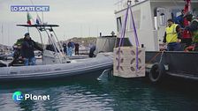 Lo sapete che: bio-reef di ENEA