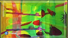 Mostra Marevivo: dentro la metamorfosi