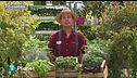 E-Garden: basilico