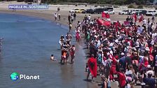 Le pagelle in...sostenibili del 14 giugno