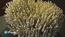 Hybryds: la mostra tra natura e arte