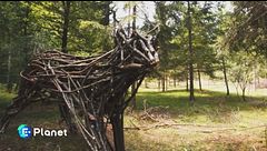 Ledro Land Art: il bosco diventa arte