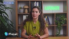 Le Storie di: una rete sotterranea di funghi