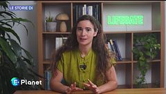 Le Storie di: una rete sotterranea di funghi