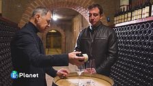 Sardegna: i Sentieri del Carignano