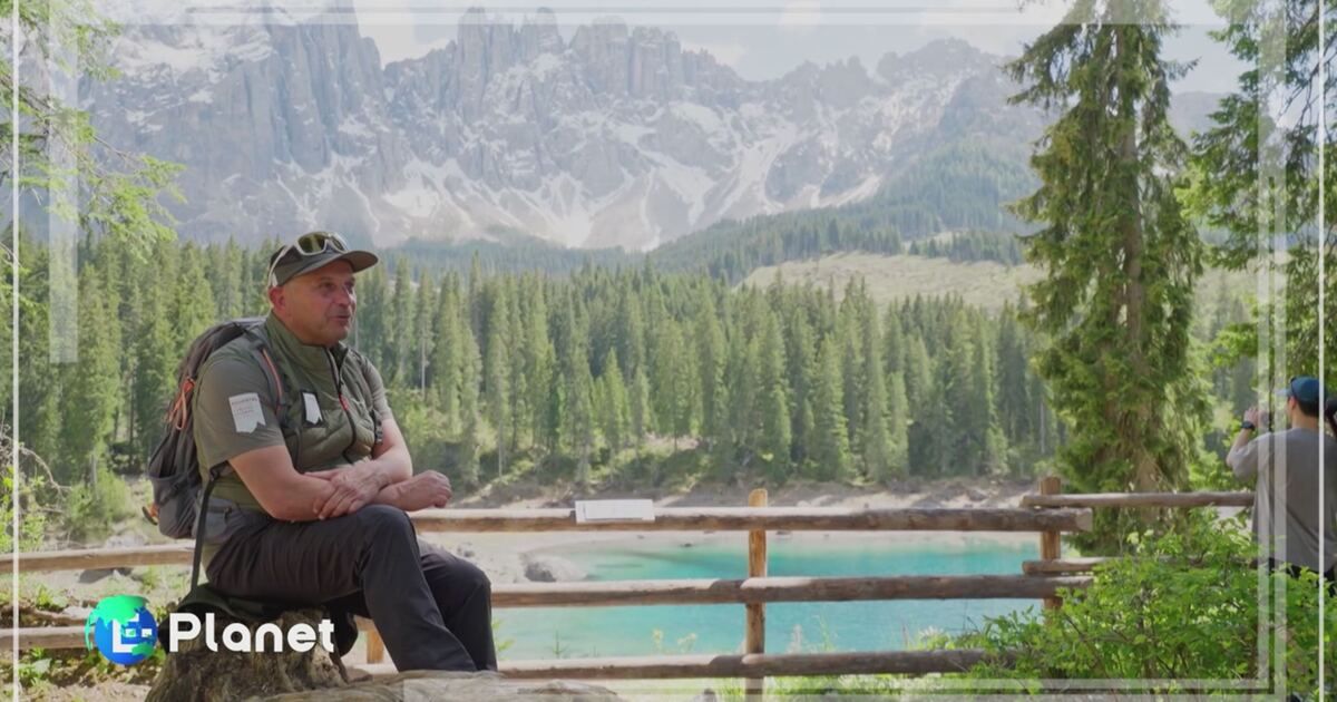 E-Planet: Il ranger del lago di Carezza Video | Mediaset Infinity