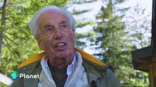 Alla scoperta del bosco delle api