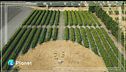 Cascina Savino: l'agricoltura delle relazioni