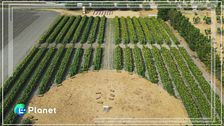 Cascina Savino: l'agricoltura delle relazioni