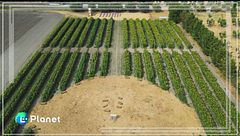 Cascina Savino: l'agricoltura delle relazioni