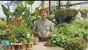 E-Garden: i vasi pensili