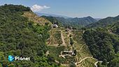 Produrre vino in armonia con la natura